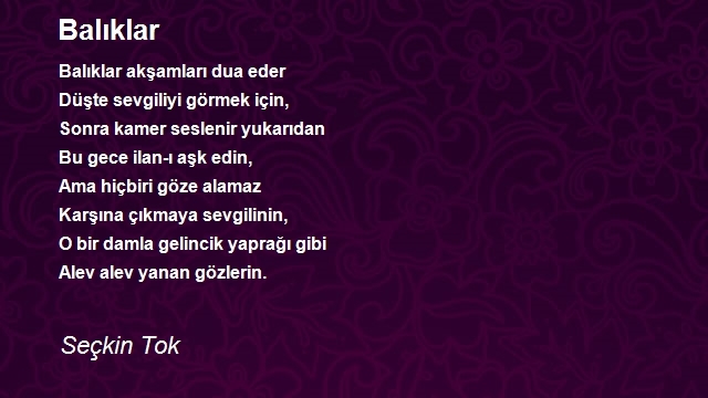 Seçkin Tok