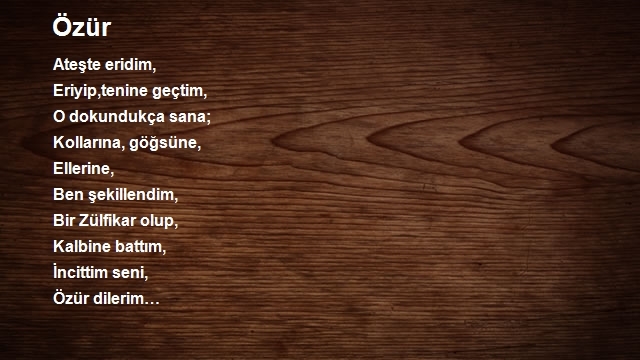 Ozan Türk