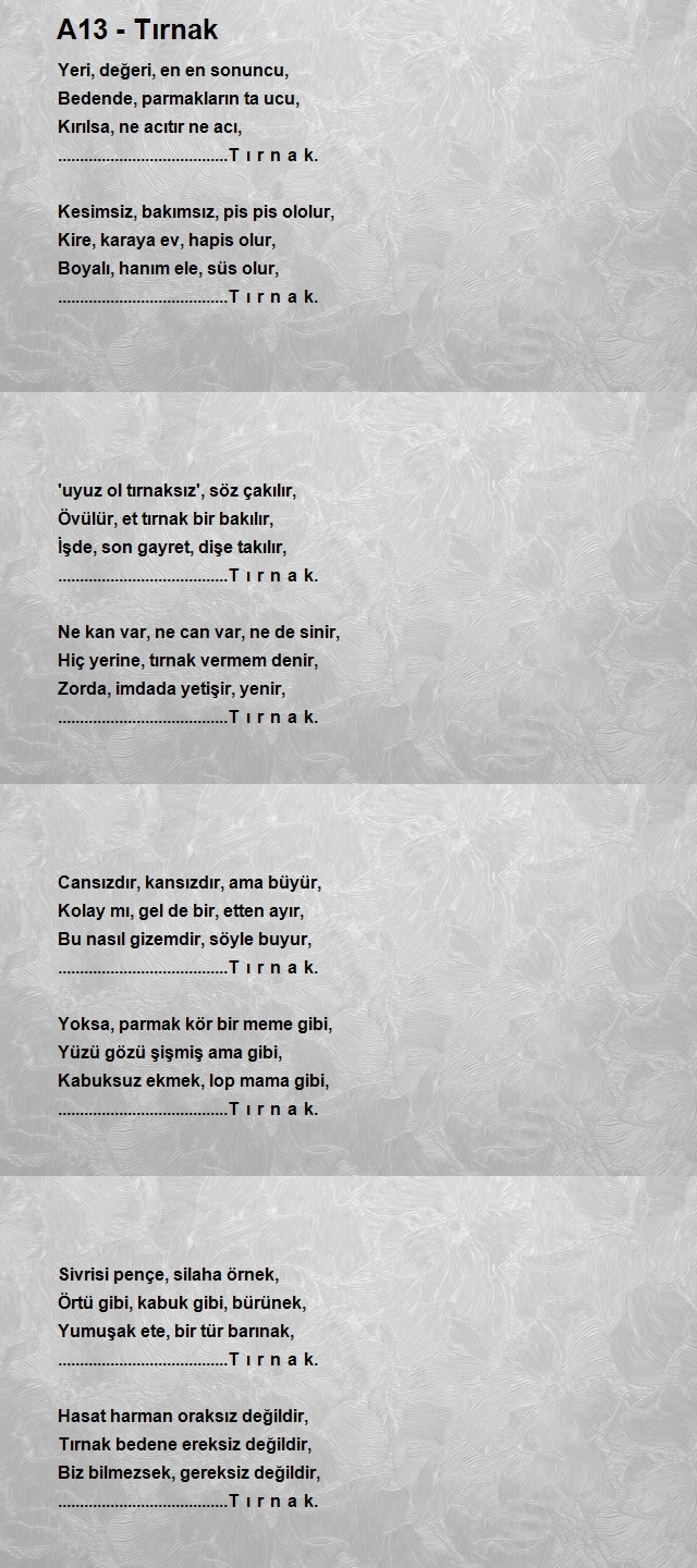 Tahir Güngör