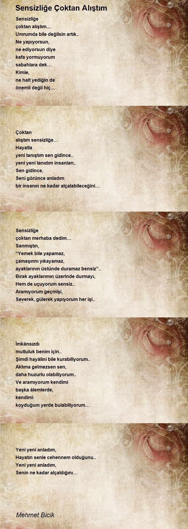 Mehmet Bicik