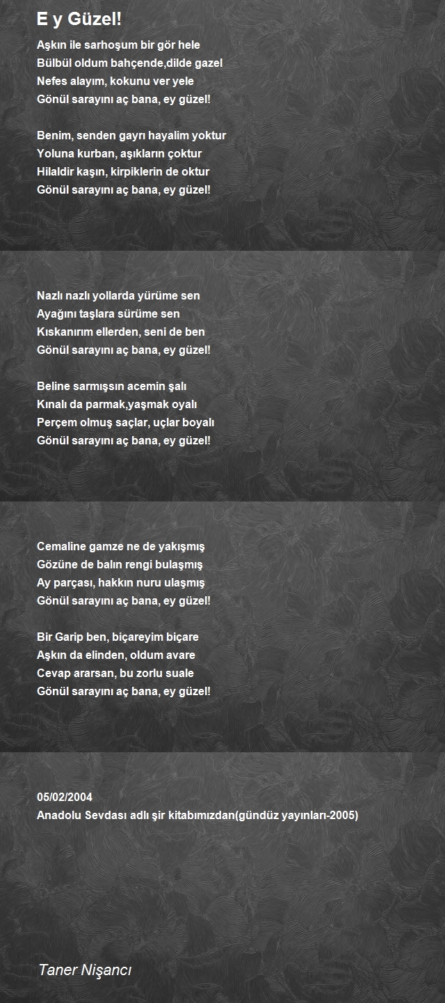 Taner Nişancı