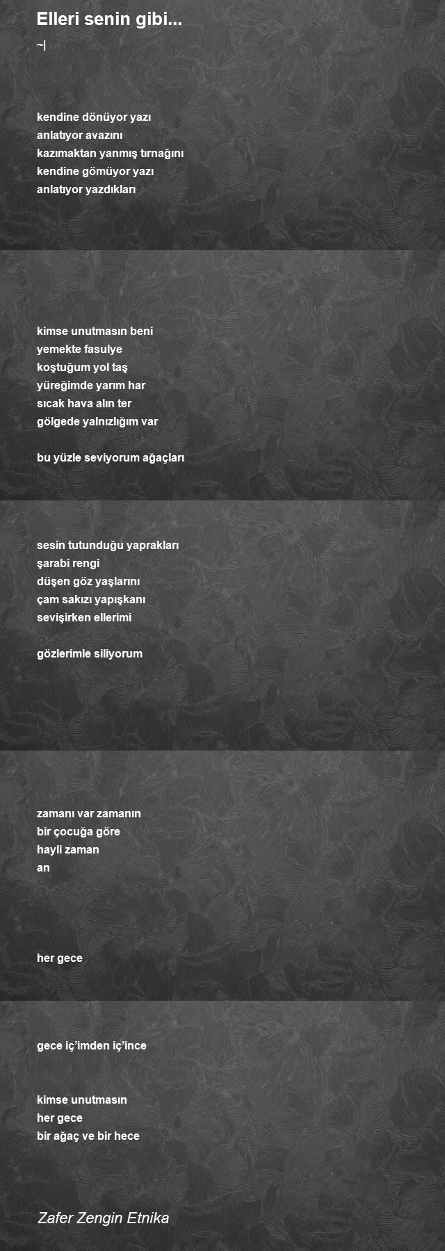 Zafer Zengin Etnika