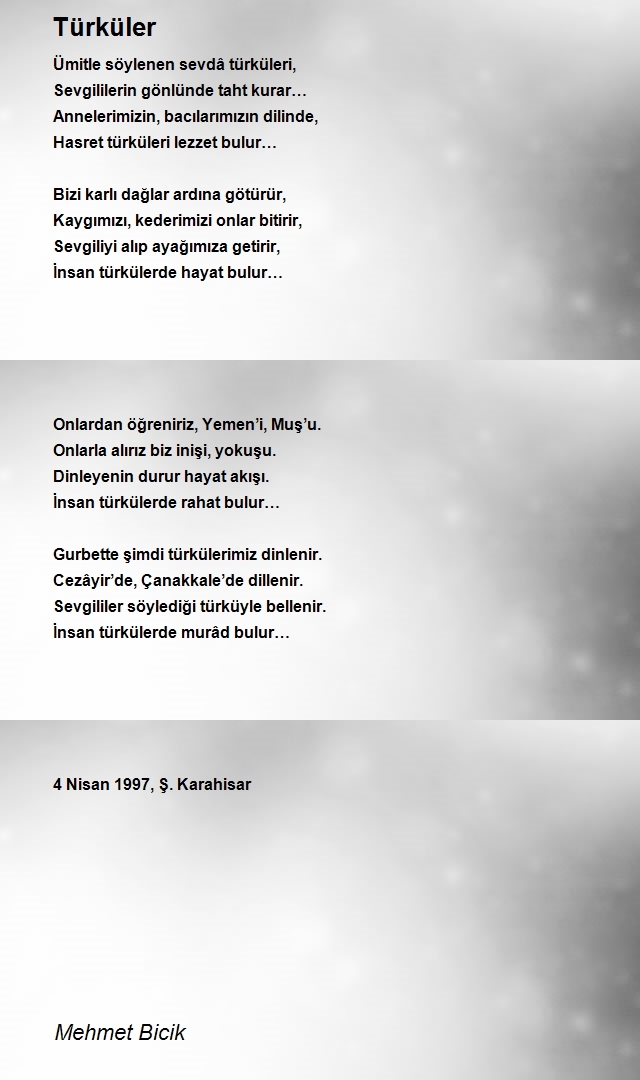 Mehmet Bicik