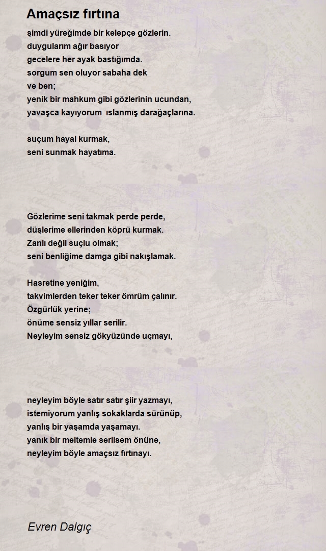 Evren Dalgıç