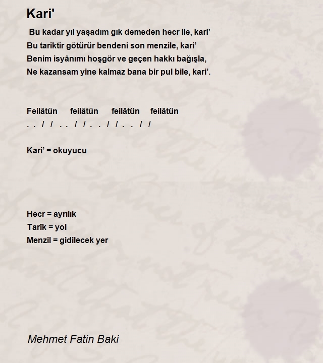 Mehmet Fatin Baki