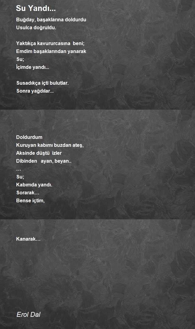 Erol Dal