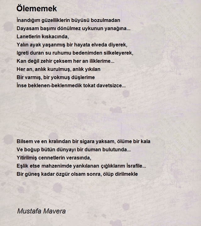 Mustafa Mavera