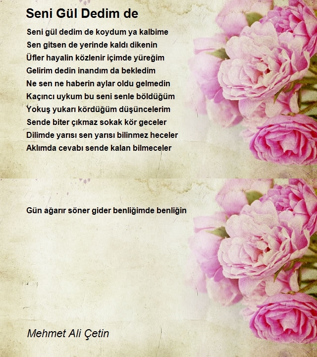Mehmet Ali Çetin