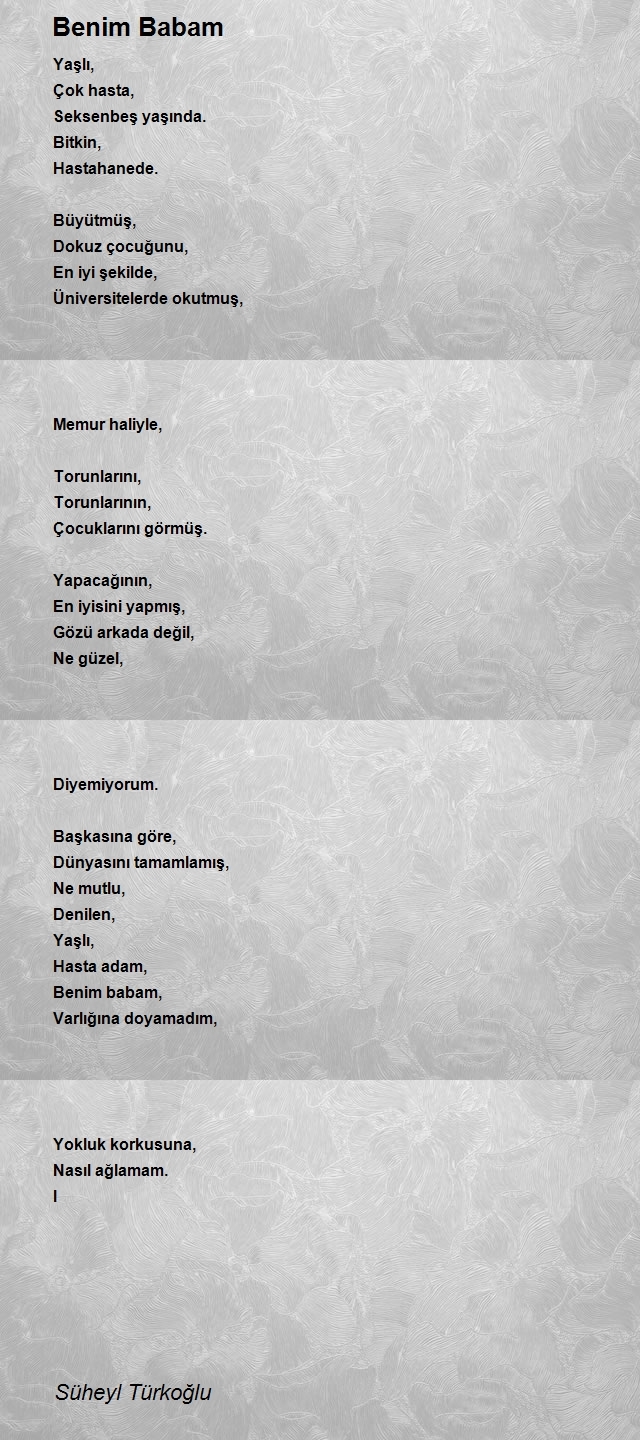 Süheyl Türkoğlu