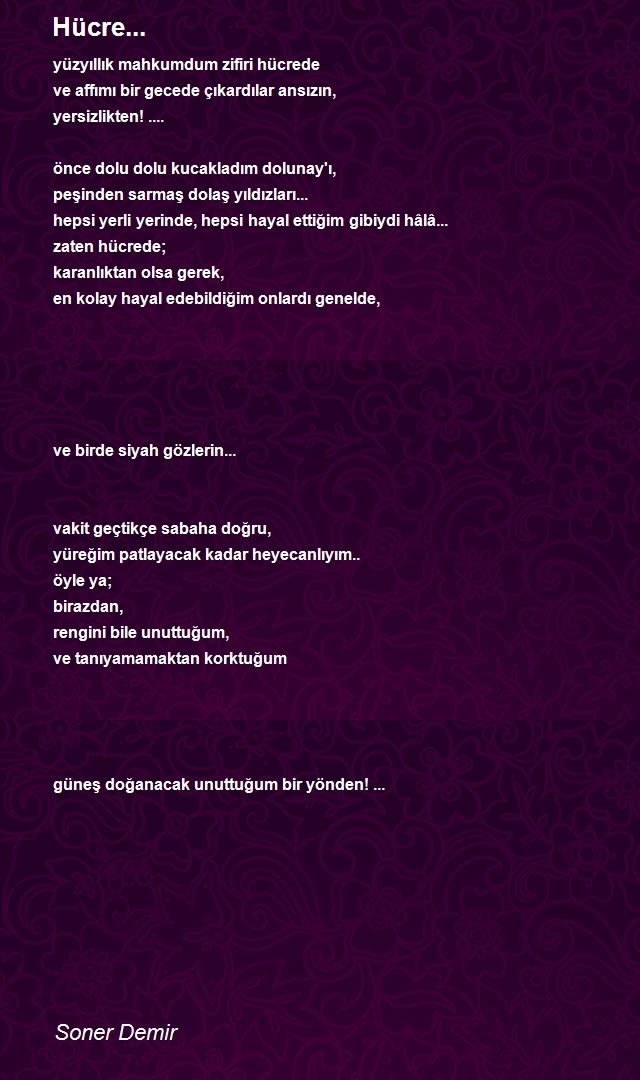 Soner Demir