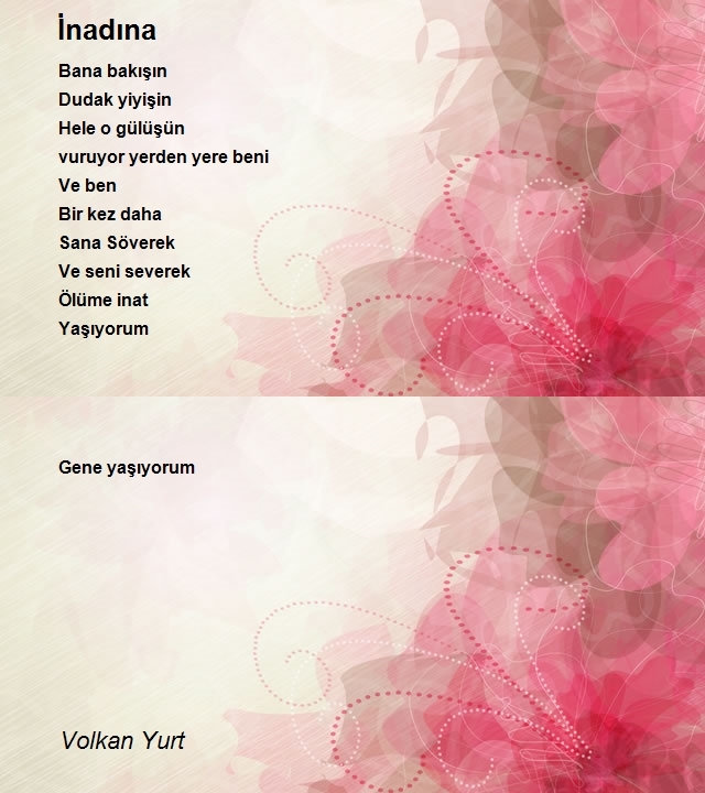 Volkan Yurt