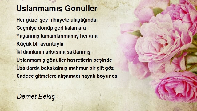 Demet Bekiş