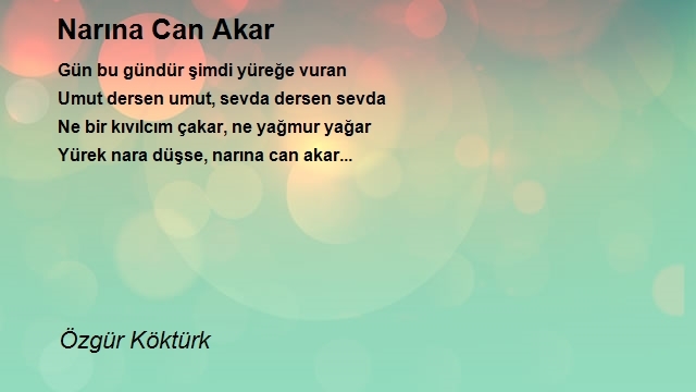 Özgür Köktürk