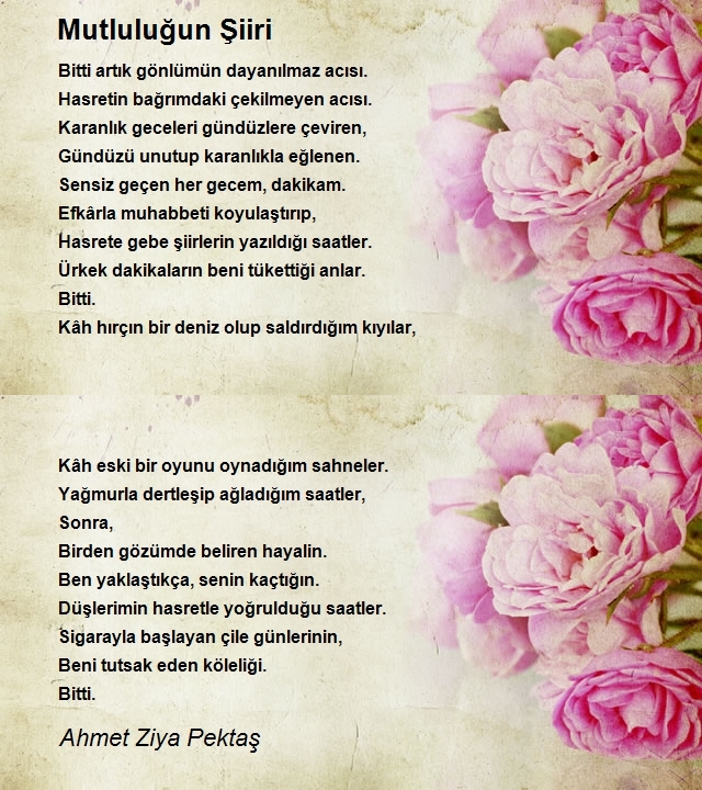 Ahmet Ziya Pektaş