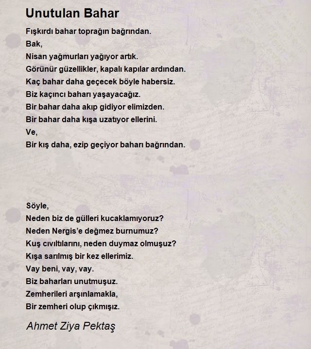 Ahmet Ziya Pektaş