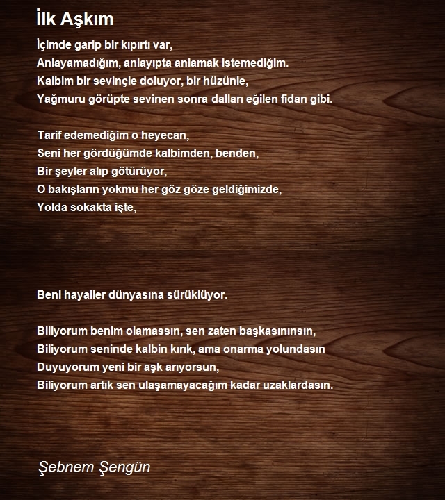 Şebnem Şengün
