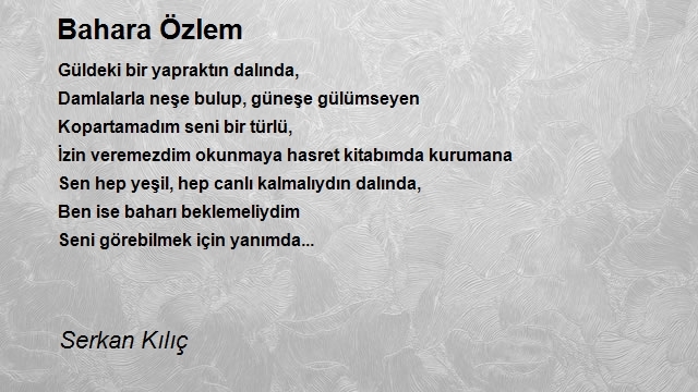 Serkan Kılıç