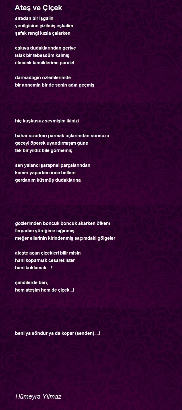 Hümeyra Yılmaz