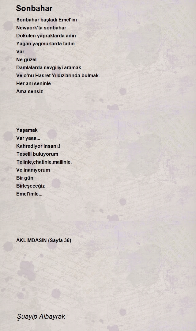 Şuayip Albayrak