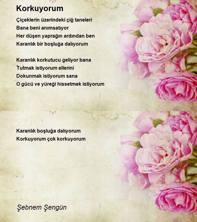 Şebnem Şengün