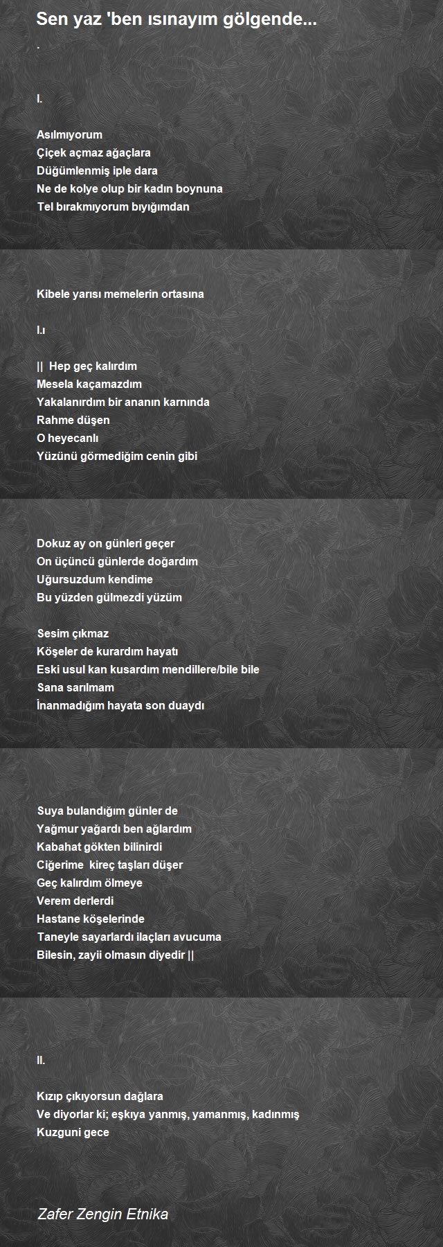 Zafer Zengin Etnika