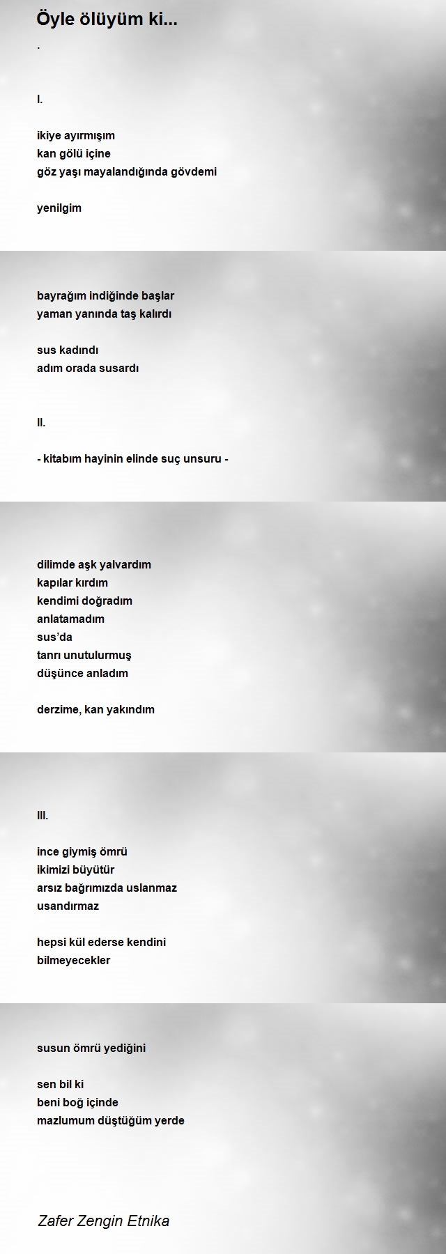 Zafer Zengin Etnika