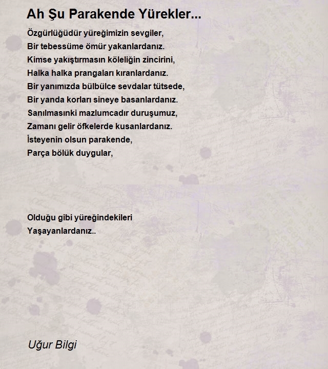Uğur Bilgi