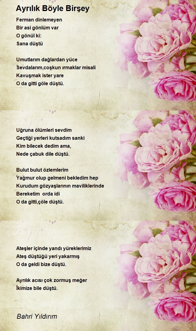 Bahri Yıldırım