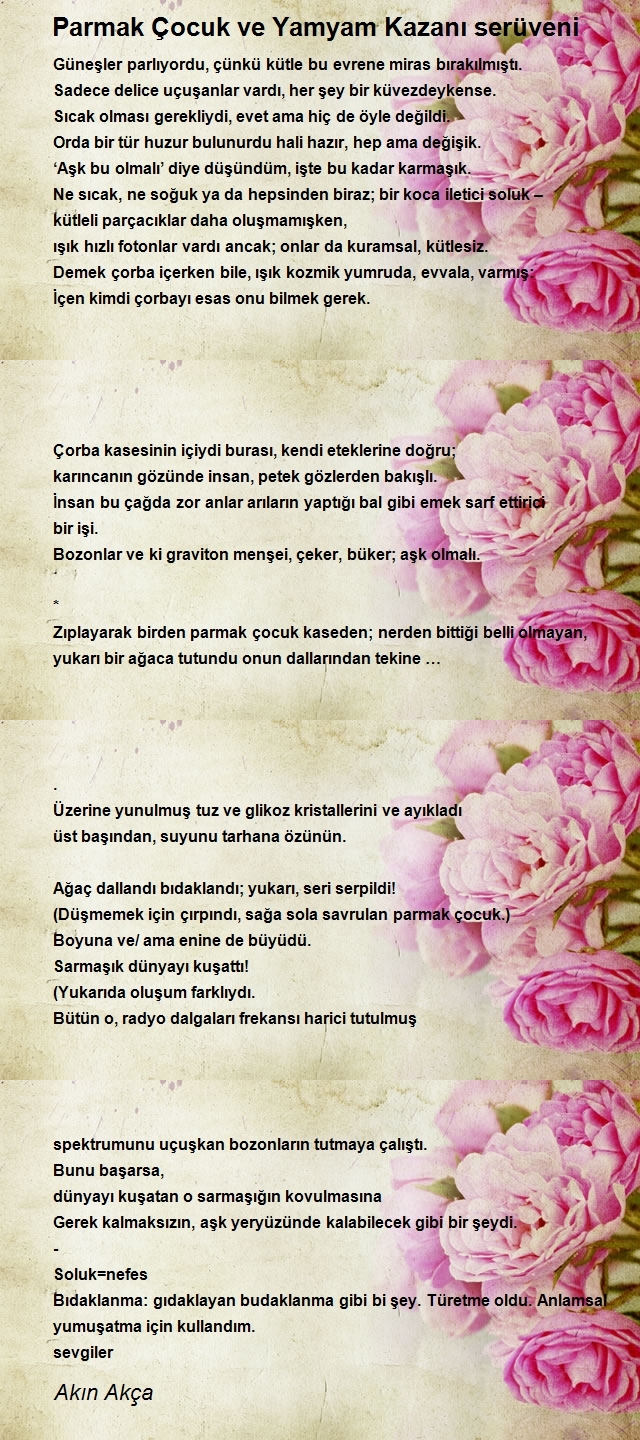 Akın Akça