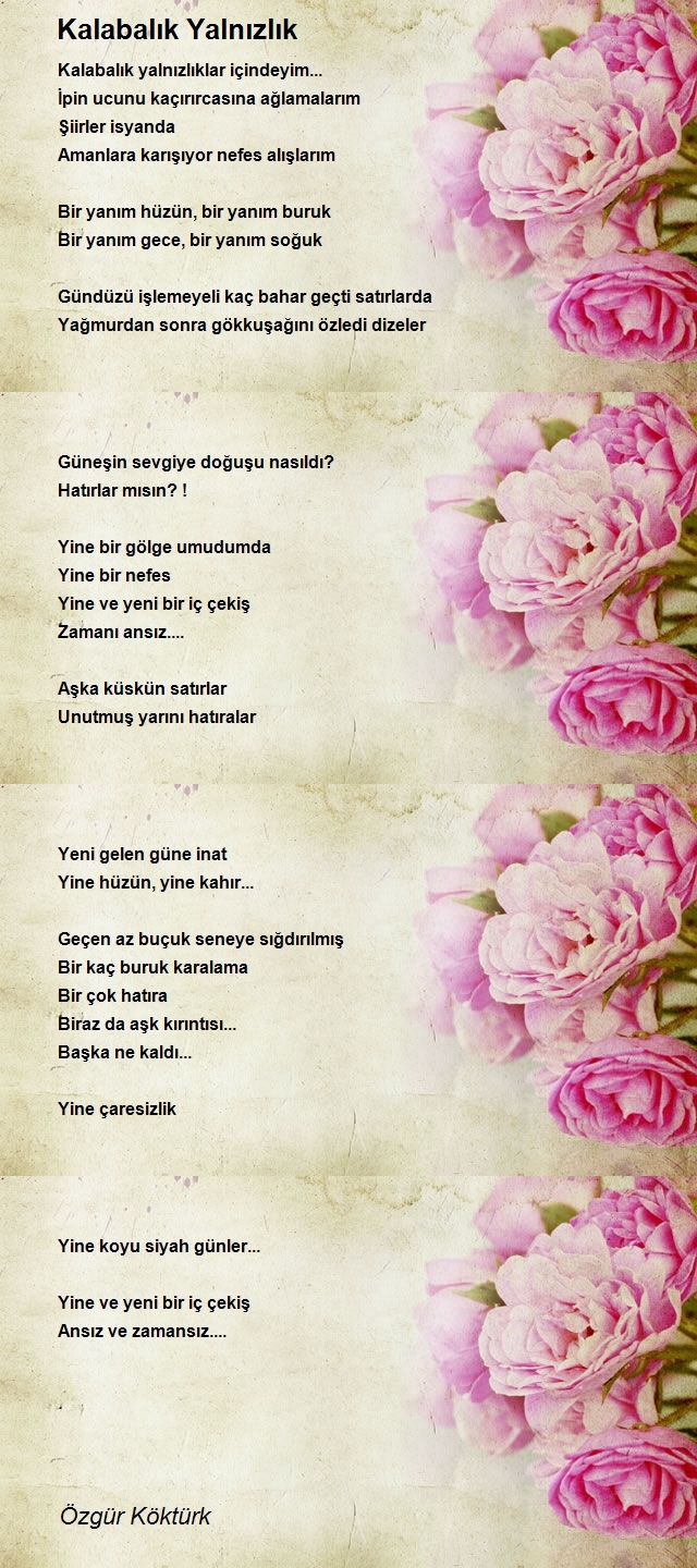 Özgür Köktürk