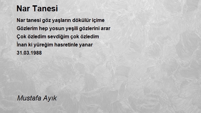 Mustafa Ayık