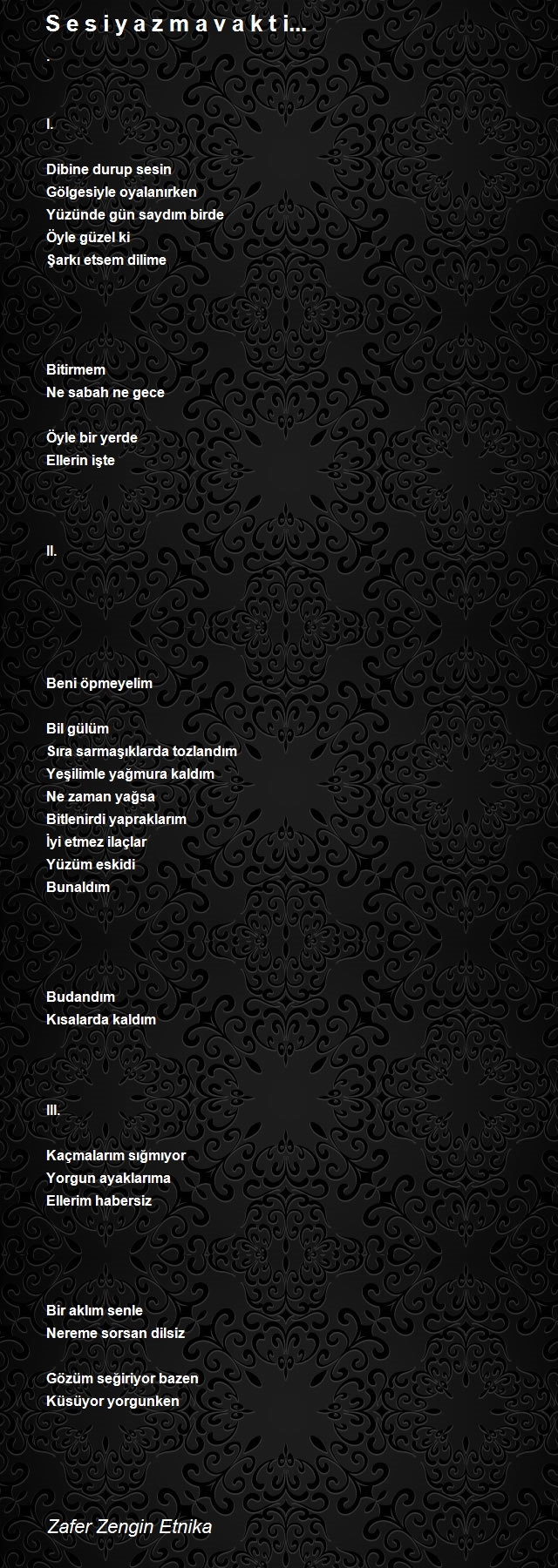 Zafer Zengin Etnika