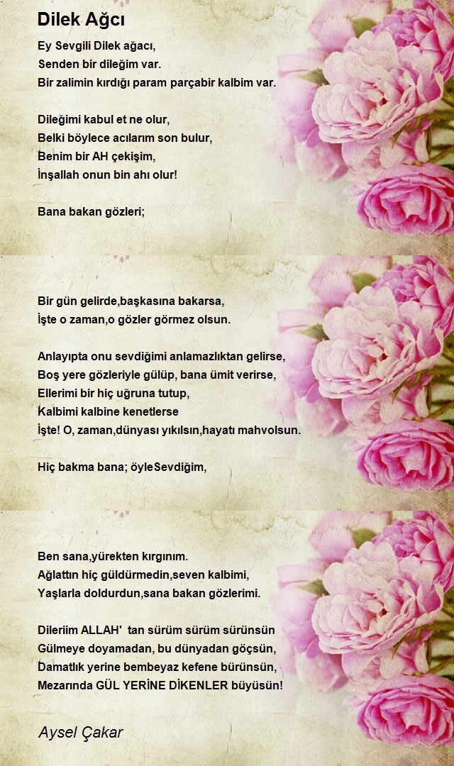 Aysel Çakar