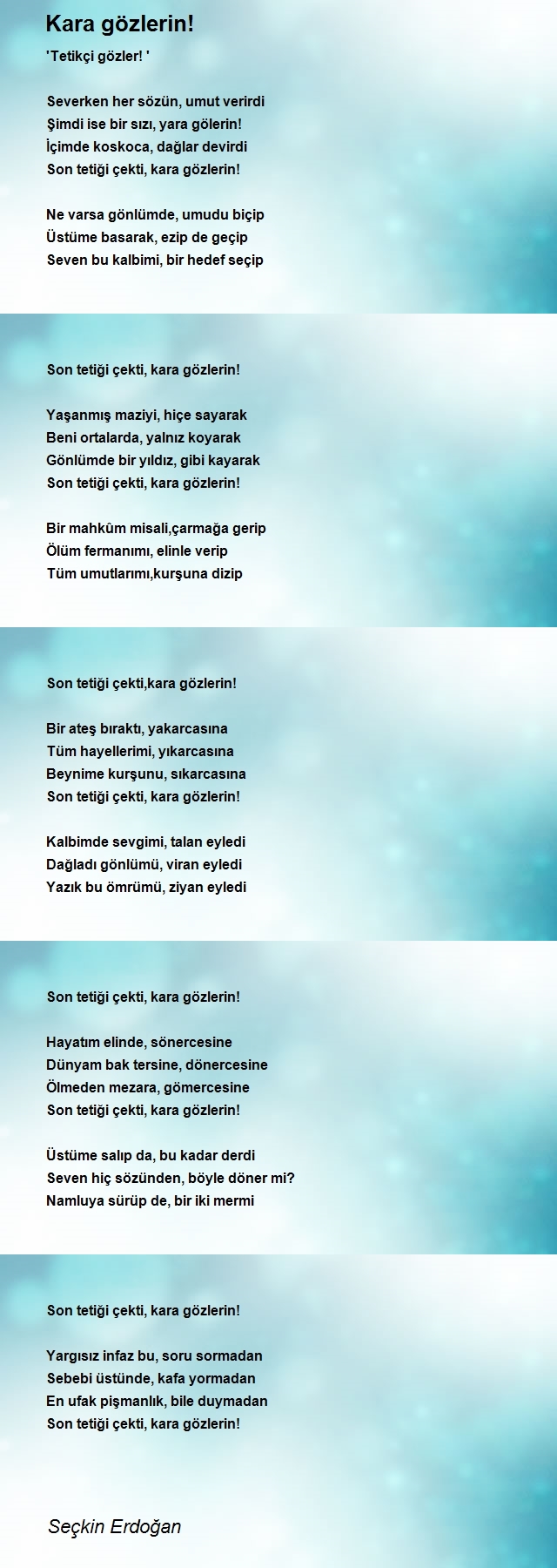 Seçkin Erdoğan