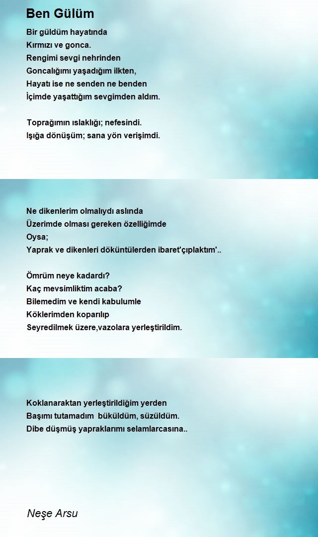 Neşe Arsu