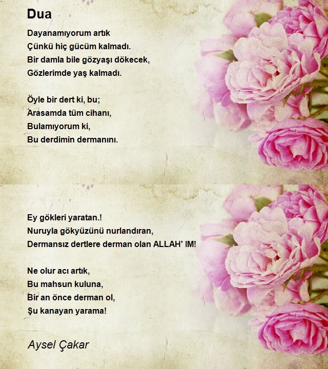 Aysel Çakar