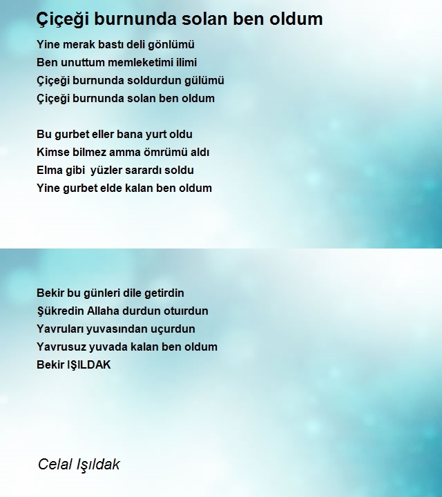 Celal Işıldak
