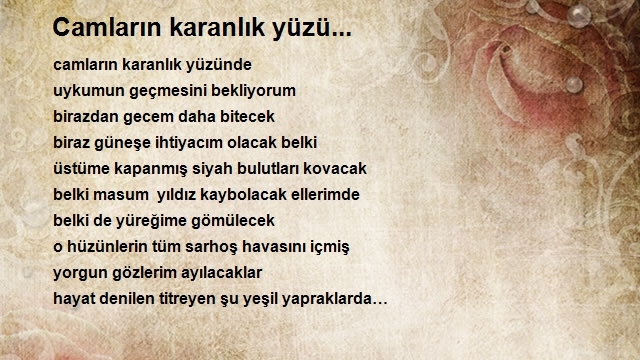 Ömer Faruk Girgin
