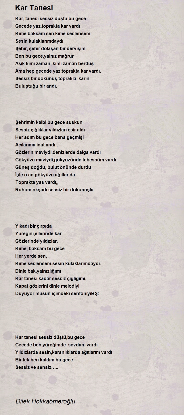 Dilek Hokkaömeroğlu
