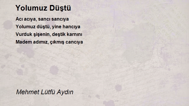Mehmet Lütfü Aydın