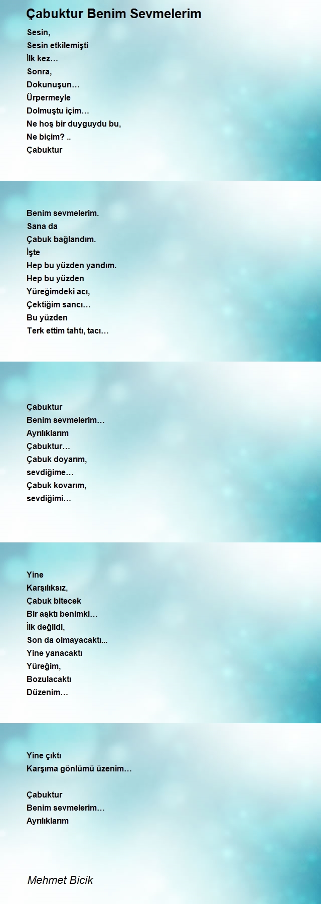 Mehmet Bicik
