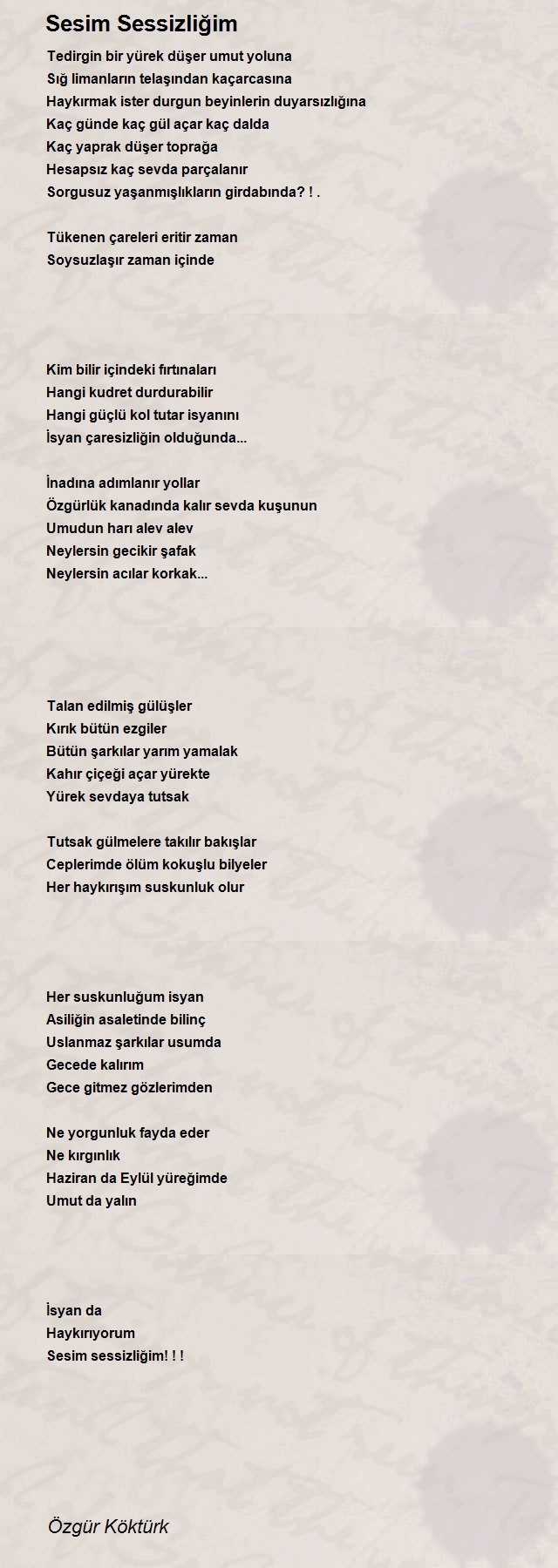 Özgür Köktürk