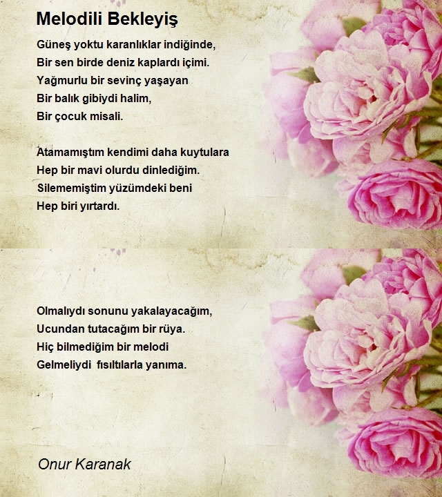 Onur Karanak