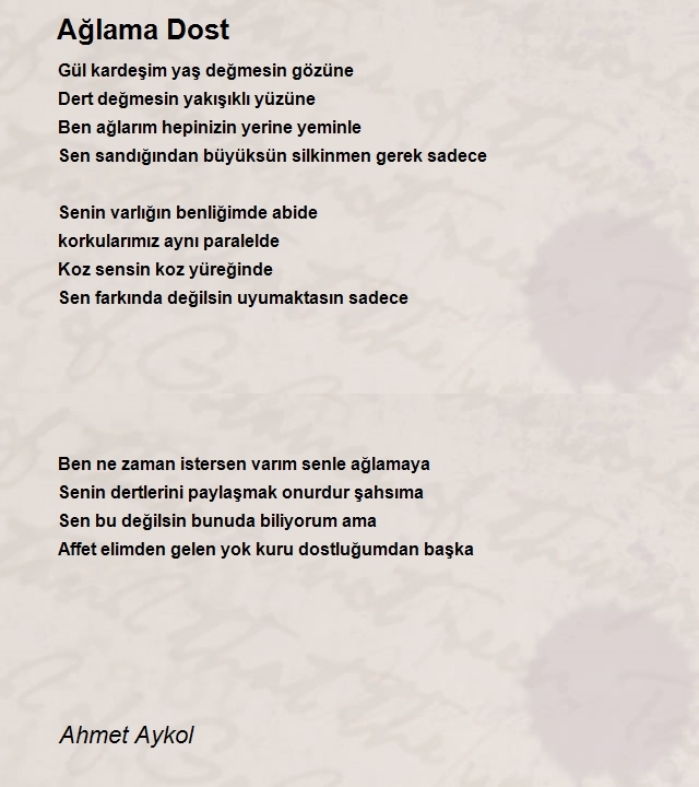 Ahmet Aykol