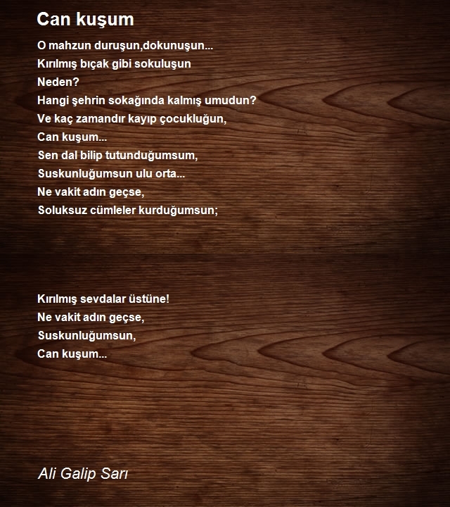 Ali Galip Sarı