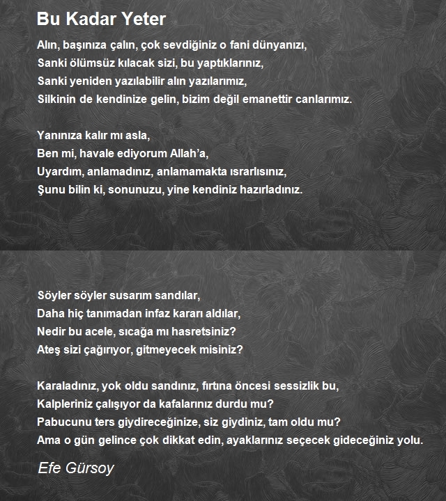 Efe Gürsoy