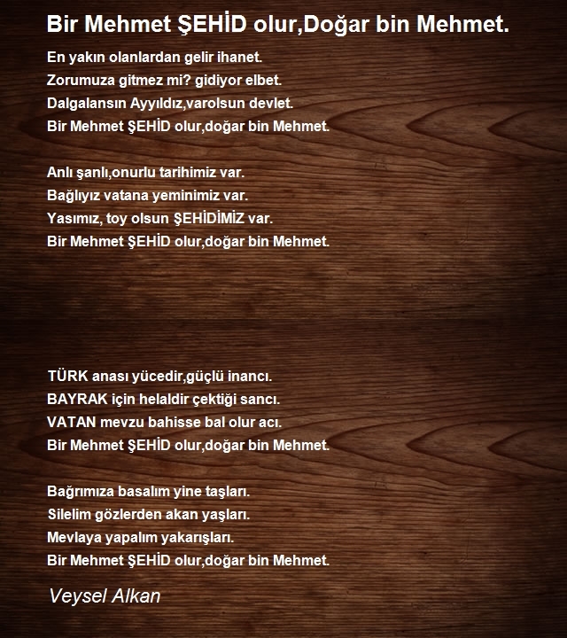 Veysel Alkan