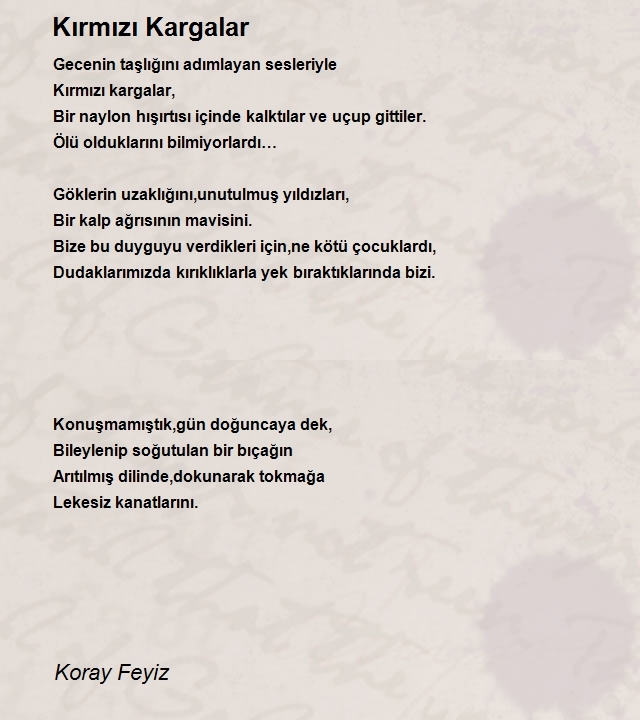 Koray Feyiz