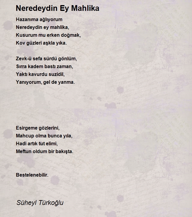 Süheyl Türkoğlu