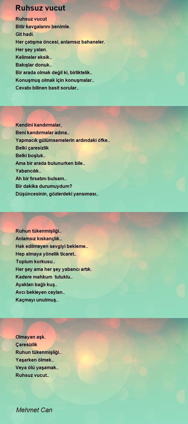 Mehmet Can